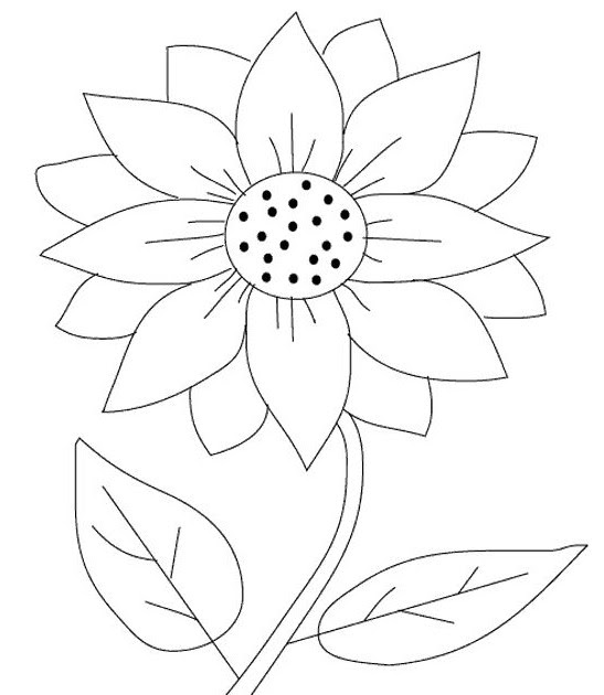  Gambar  Kolase Bunga  Matahari 