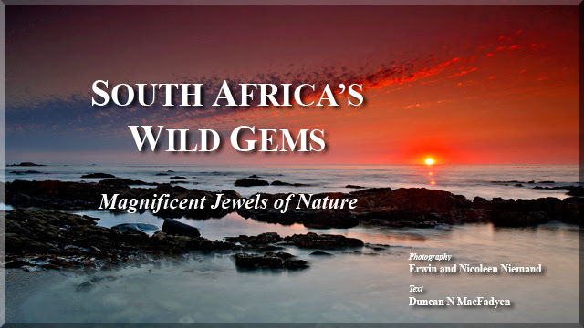 I'm a wildlife photographer & animal ecologist based in namibia. Oshana Publishing And Photography Nature And Wildlife Photographers Photography Workshops Photography Tours Photography Safaris Coffee Table Book Publishers