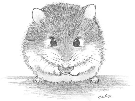 ベスト かっこいい 動物 イラスト 簡単 ただの無料イラスト