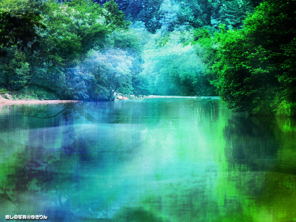 ラブリー壁紙 幻想的な景色 最高の花の画像