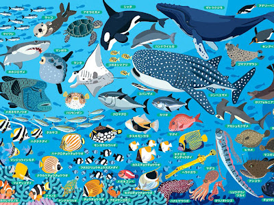 [無料ダウンロード！ √] 海の仲間 イラスト 360357-海の仲間 イラスト 簡単