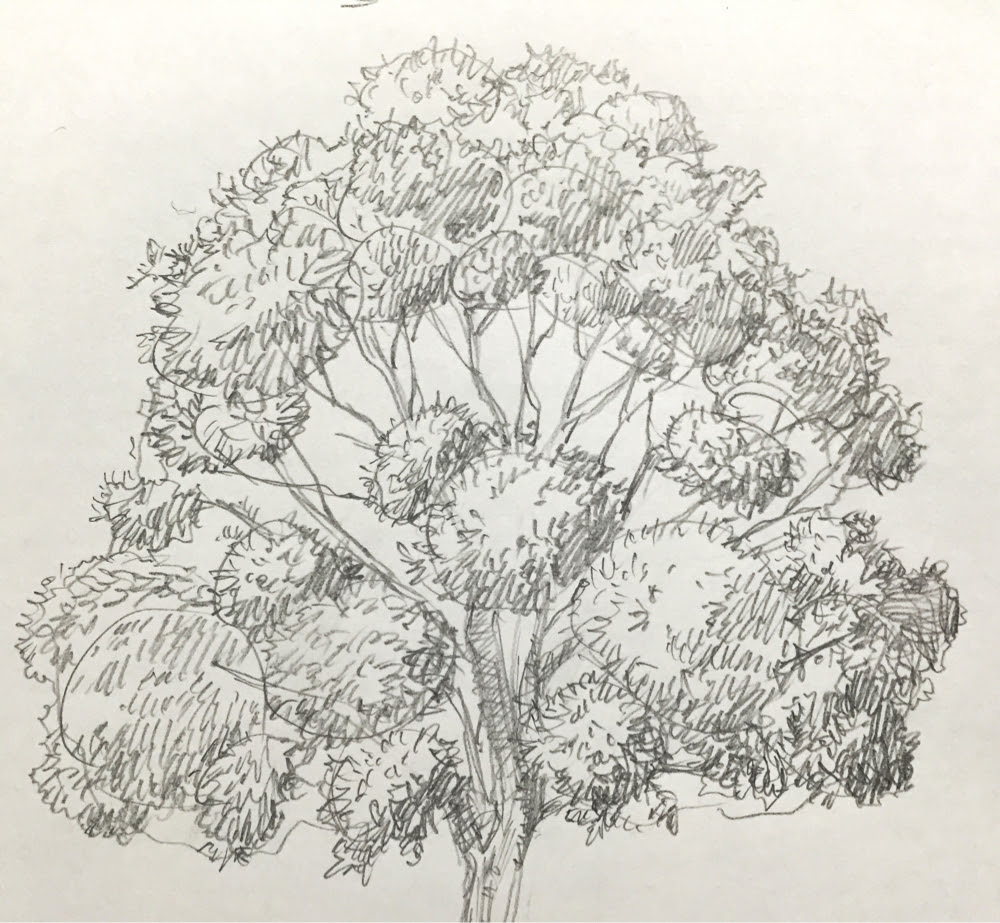 風景画 描き方 下書き 風景画 描き方 下書き