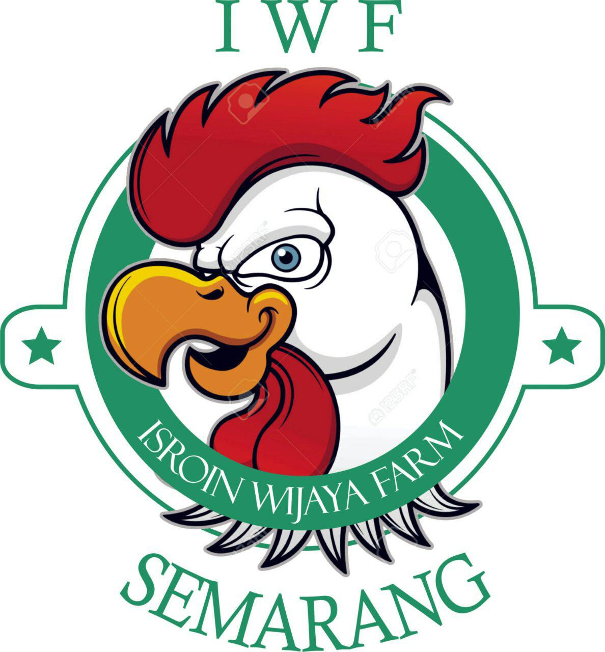 Gambar Kartun Ayam  Goreng Gambar Gokil