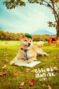 エレガント壁紙 柴犬 美しい花の画像