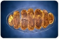 Use of Mitochondrial DNA (mtDNA) in Forensics