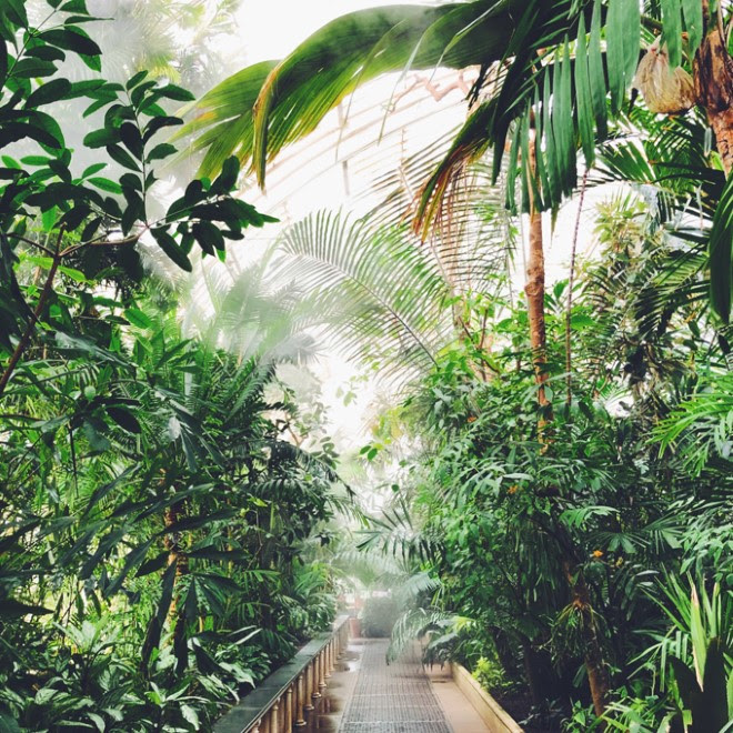 Inside the Palm House