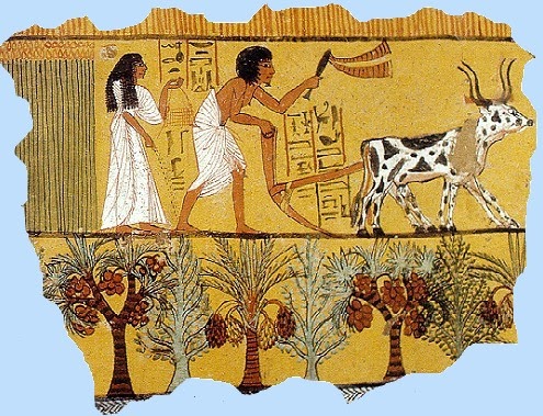 primary homework help egypt farming