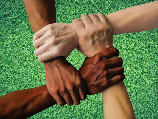 hands of different races holding each other by the wrist