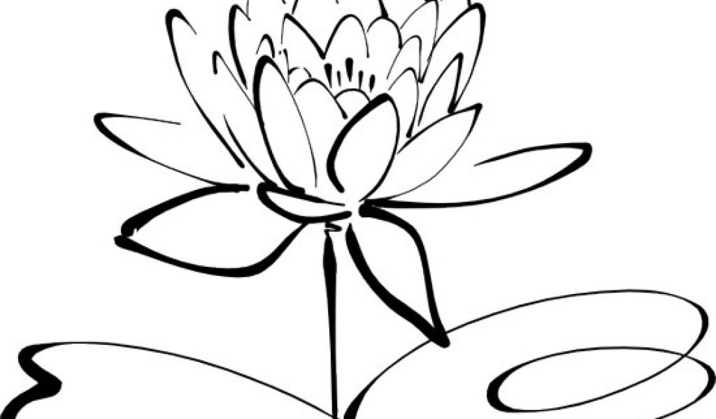 Best Of Free Images Of Black And White Flowers Top Collection Of Different Types Of Flowers In The Images Hd