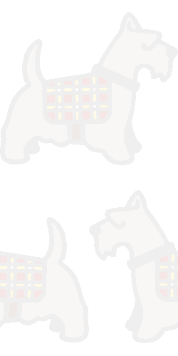 1000以上 シュナウザー イラスト シュナウザー イラスト 書き方