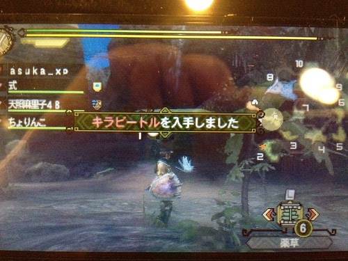 モンハンx キラビートル入手方法