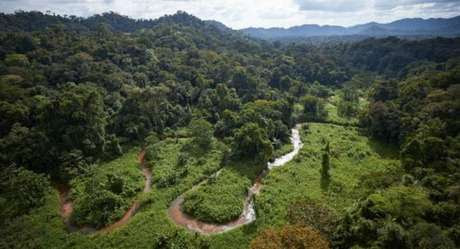 Las ruinas fueron identificadas primero en mayo de 2012 en un valle remoto en La Mosquitia. Foto: cortesía National Geographic. Foto: National Geographic