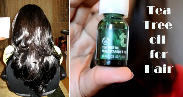 Image result for tea tree essential oil for hair