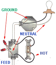 Single Pole Switch Wiring Diagram Basic Light Get Free Image About Wiring Diagram | schematic ...