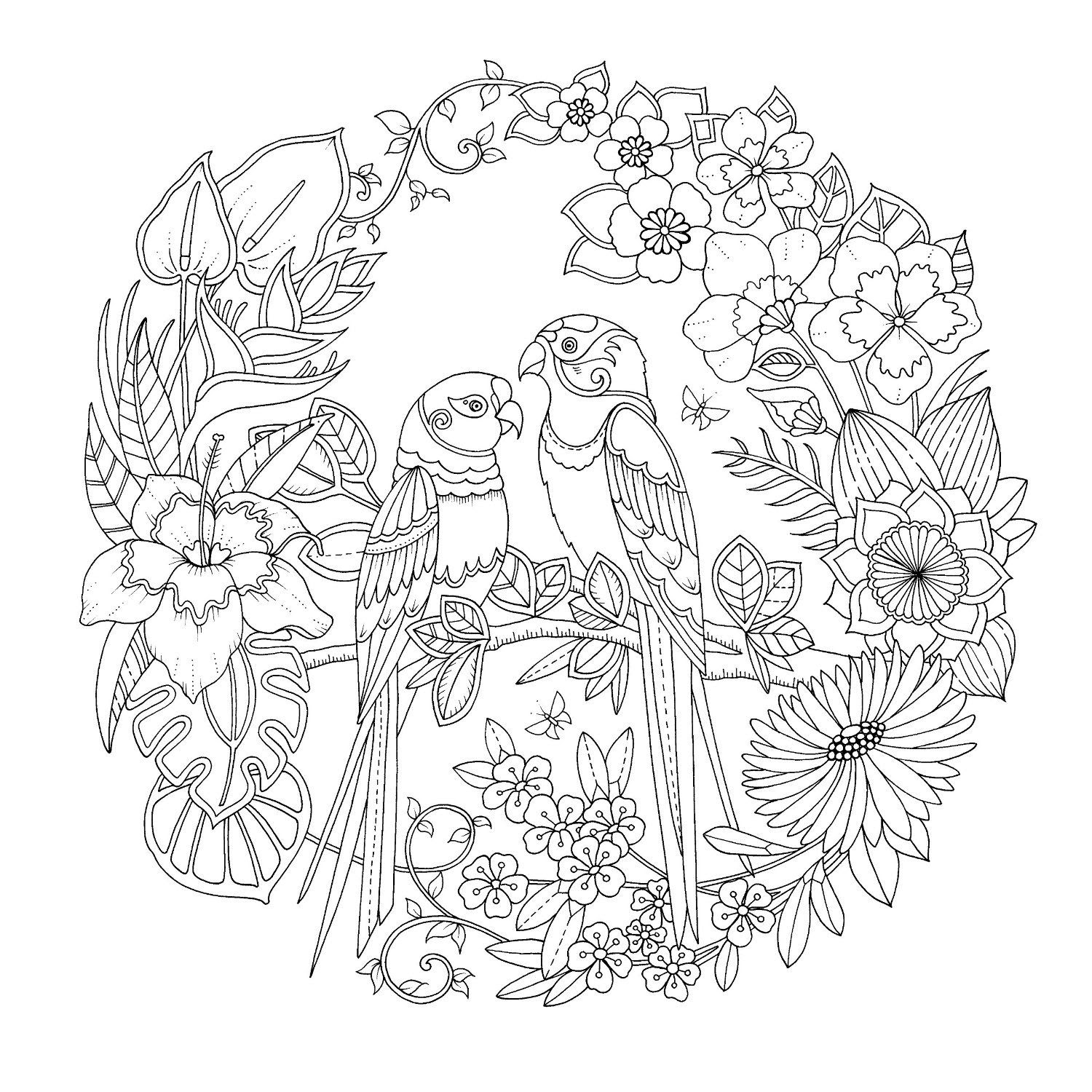 Download Jungle Coloring Page Free - 241+ SVG Images File