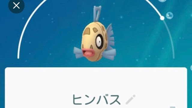 ポケモン サファイア ミロカロス 100 で最高の画像