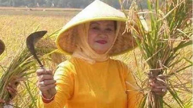 Piranti Di Subang - Jumlah Kader Posyandu yang Tewas ...