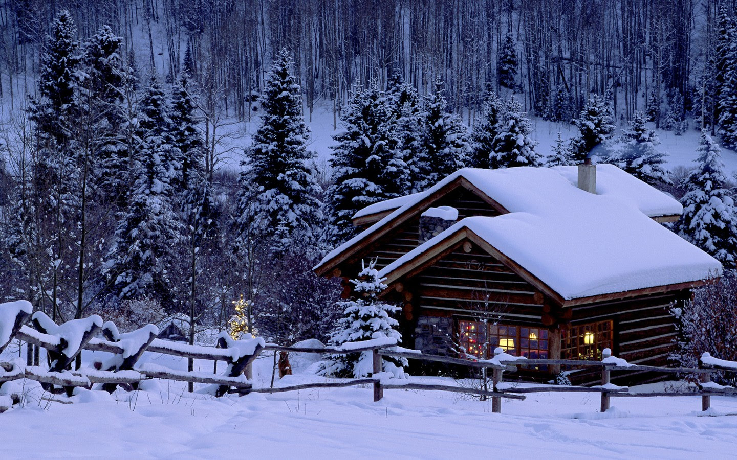 心に強く訴える雪景色 夜 壁紙 美しい花の画像