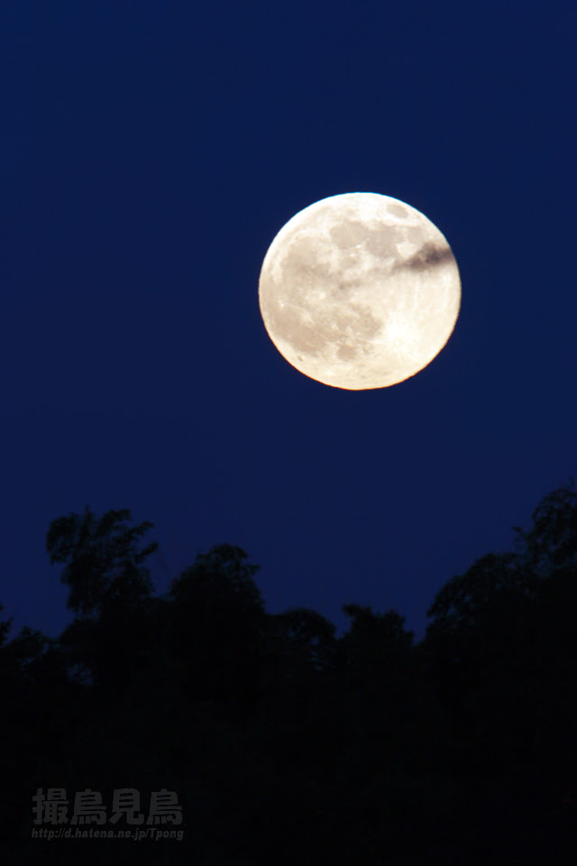 ディズニー画像ランド 最新夜空 月 壁紙 高画質