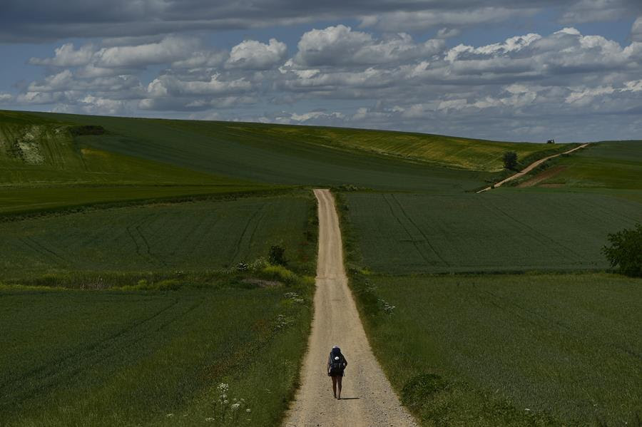 A pilgrim walks on a long dirt path with fields on either side. This path is part of "Camino Santiago," or St. James Way.