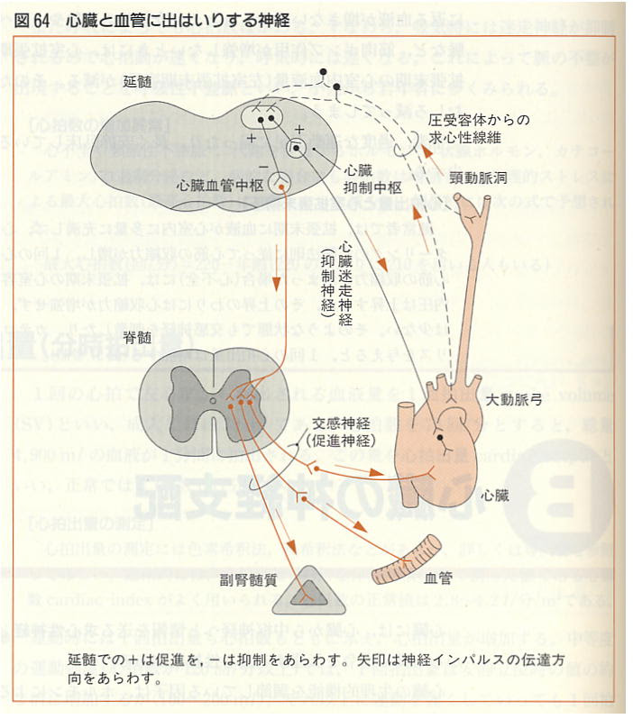 画像 ベイン ブリッジ 反射 Googlejpgazo