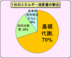ファッショントレンド 50 素晴らしいダイエット 30代 女性 摂取カロリー