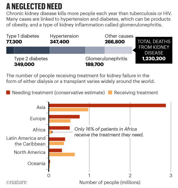 Graphic illustrating total deaths from kidney disease and the number of people receiving treatment for kidney failure