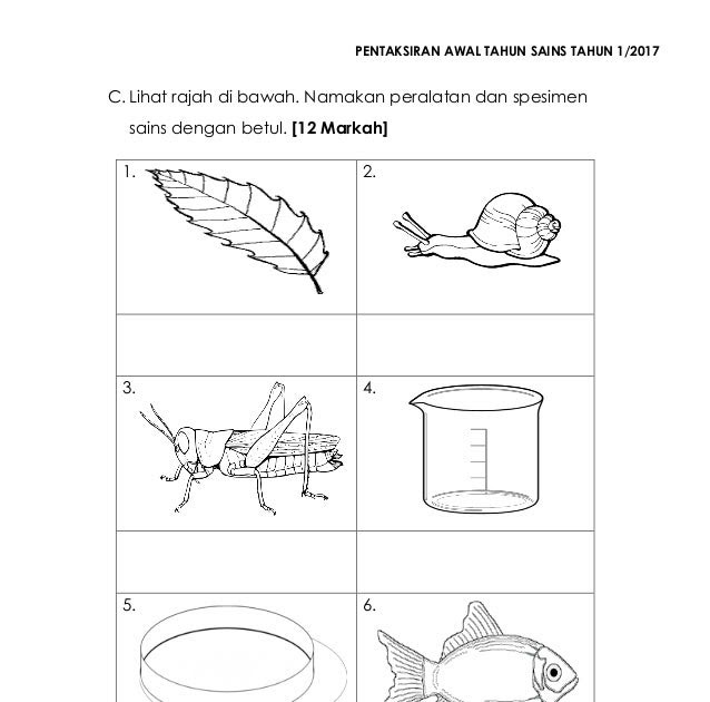 Contoh Soalan Diagnostik Kemasukan Tahun 1 Bahasa Melayu 