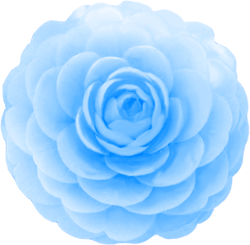 99以上 青い 花 イラスト 青い 花 イラスト Charliecrankjp
