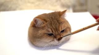 ベスト 猫 リアル イラスト 描き方 猫 リアル イラスト 描き方 Okepict4doy