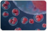 Camelid Antibodies for the Treatment of Allergies