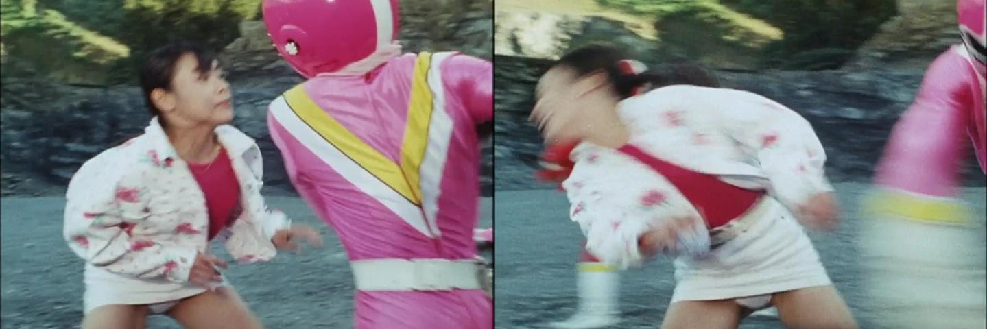 ロイヤリティフリーファイブ ピンク 最高の花の画像