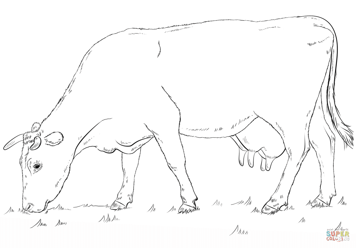Free printable elephant coloring pages and download free elephant coloring pages along with coloring pages for other activities and coloring sheets. Grazing Cow Coloring Page Free Printable Coloring Pages