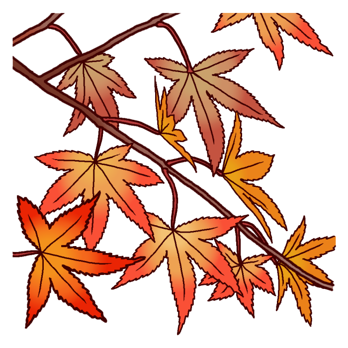 画像 カエデ イラスト カエデ イラスト Louisalvarezjp