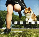 Owner running with dog