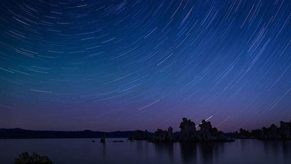 最新のhdデスクトップ 壁紙 星空 高画質 フリー 花の画像