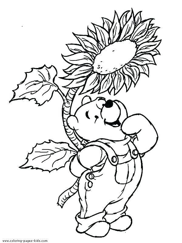 Just click on the winnie the pooh coloring pages that you like and then click on the print button at the top of the page. Winnie The Pooh Coloring Pages Pdf At Getdrawings Free Download