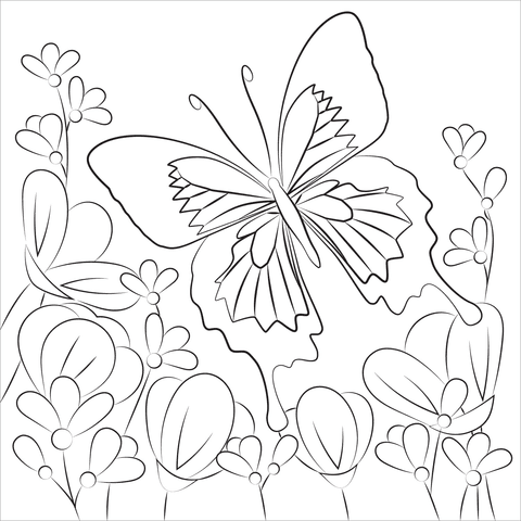 Students can work on lowercase letter b handwriting. Butterfly Coloring Page Free Printable Coloring Pages