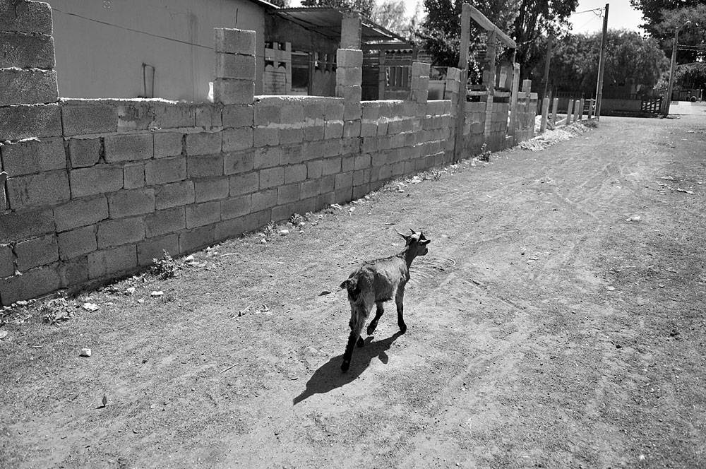 Asentamiento en Instrucciones y Aparicio Saravia. Foto: Javier Calvelo (archivo, octubre de 2013)