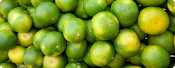fresh and local image