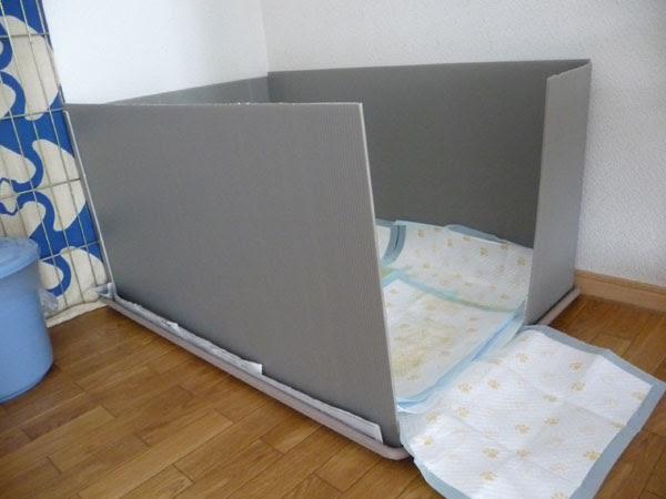 犬 トイレ 囲い クールな壁紙