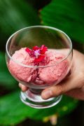Sobremesa Sorbet di Frutti Rosso, do restaurante Aguzzo