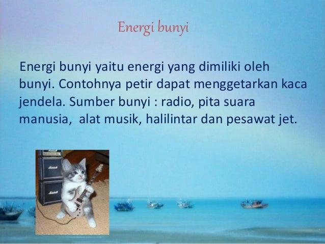 Sumber Bunyi Alat  Musik  Akordeon