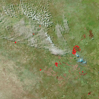 image of fires in Botswana