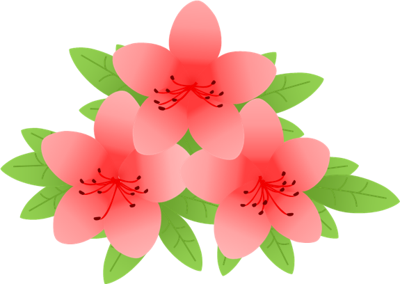 美しい花の画像 ぜいたく5月 花 イラスト 無料