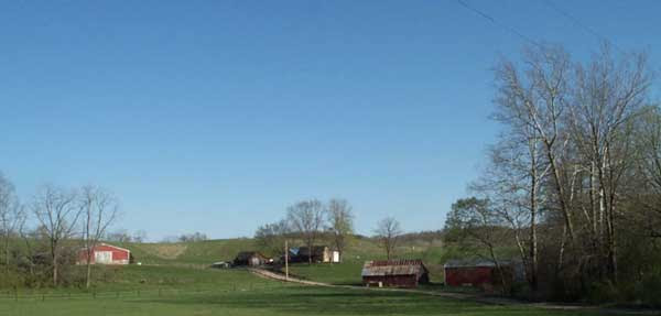 187 likes · 1 talking about this. Lorelei Sims Artist Blacksmith Blacksmithchic Com Pasture Prime A Retirement Commune