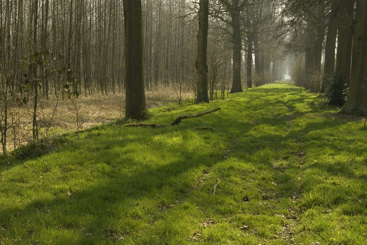 Statige bosdreven, open akkers, vennen, heide en graslanden wisselen elkaar af en het krioelt er van het dierenleven. Merksplas