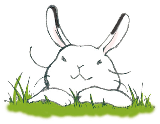 すべての動物の画像 最高かっこいい うさぎ イラスト