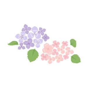 すべての動物の画像 トップ100 紫陽花 イラスト 手書き
