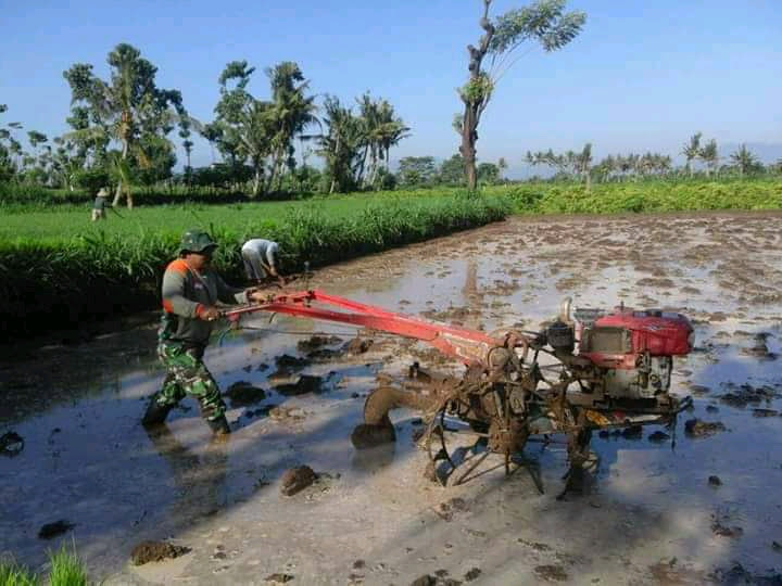 Kumpulan gambar untuk Belajar mewarnai: Mewarnai Gambar Petani Membajak Sawah